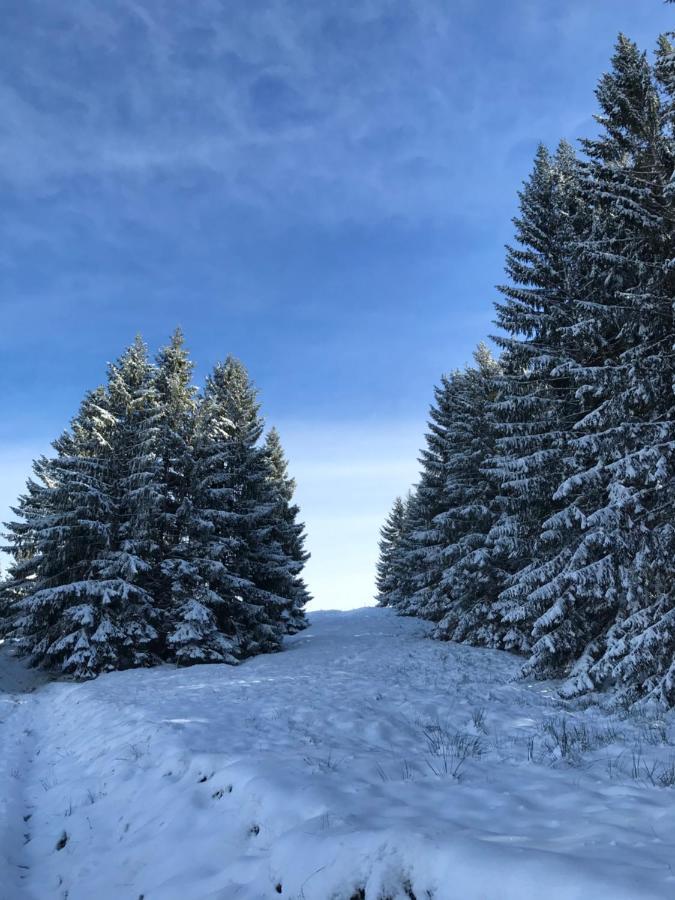 Kleine Ferienwohnung Am Rande Der Wildnis Sibratsgfall Екстер'єр фото